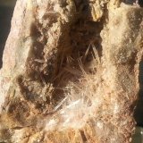Aragonite
4 x 3,5 cm
(Autor: Volkmar Stingl)