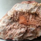 Aragonite
9,5 x 7 cm
(Autor: Volkmar Stingl)