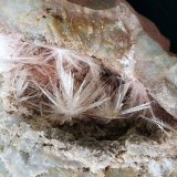 Aragonite
10 x 7 cm
(Autor: Volkmar Stingl)