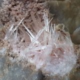 Aragonite
5,5 x 4 cm
(Autor: Volkmar Stingl)