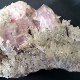 Fluorite, Rhodochrosite, Ferberite, Quartz
10 x 7 x 4 cm
(Autor: Volkmar Stingl)