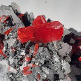 Realgar
6 x 5 cm
(Autor: Volkmar Stingl)
