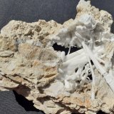 Aragonite (variety flos ferri)
8 x 7 cm
(Autor: Volkmar Stingl)