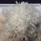 Aragonite (variety flos ferri)
4 x 4 cm
(Autor: Volkmar Stingl)