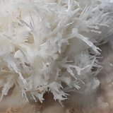 Aragonite (variety flos ferri)
4 x 4 cm
(Autor: Volkmar Stingl)