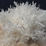 Aragonite (variety flos ferri)
4 x 4 cm
(Autor: Volkmar Stingl)