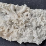 Aragonite (variety flos ferri)
11 x 4,5 cm
(Autor: Volkmar Stingl)
