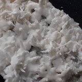 Aragonite (variety flos ferri)
11 x 4,5 cm
(Autor: Volkmar Stingl)