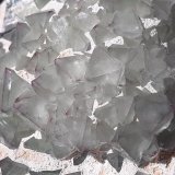 Fluorite
6 x 5,5 cm
(Autor: Volkmar Stingl)