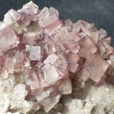 Fluorite
4 x 3 cm
(Autor: Volkmar Stingl)