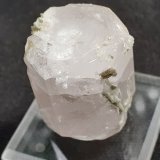 Beryl (variety morganite)
2,7 x 2 cm
(Autor: Volkmar Stingl)