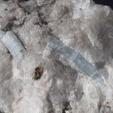 Beryl (variety aquamarine)
6 x 4 cm
(Autor: Volkmar Stingl)