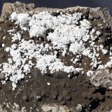 Ferrierite-Mg
5 x 3,5 cm
(Autor: Volkmar Stingl)