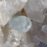 7 x 6,5 x 4 cm
(Autor: Volkmar Stingl)