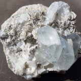 Beryl (variety aquamarine), Muscovite
7 x 7 cm
(Autor: Volkmar Stingl)