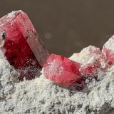 Beryl (variety Red Beryl)
3,5 x 3 cm
(Autor: Volkmar Stingl)