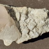 Beryl (variety morganite)
7 x 3,5 cm
(Autor: Volkmar Stingl)