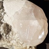 Beryl (variety morganite)
7 x 3,5 cm
(Autor: Volkmar Stingl)
