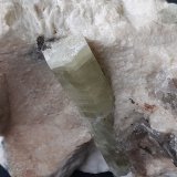 Beryl
8 x 7 cm
(Autor: Volkmar Stingl)