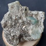 Beryl (variety emerald)
4 x 4 cm
(Autor: Volkmar Stingl)