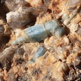 Beryl (variety Aquamarine)
13 x 9 cm
(Autor: Volkmar Stingl)