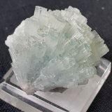 Beryl (variety aquamarine)
2 x 2 cm
(Autor: Volkmar Stingl)