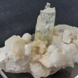 Beryl (variety aquamarine), Albite, Quartz
5 x 3 cm
(Autor: Volkmar Stingl)