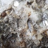 Beryl, Muscovite, Pyrite
8,5 x 6,5 cm, FoV ca. 2 cm wide
(Autor: Volkmar Stingl)