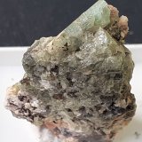 Beryl
2,5 x 2 cm
(Autor: Volkmar Stingl)