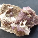 Fluorite, Baryte
6 x 3 cm
(Autor: Volkmar Stingl)
