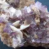Fluorite, Baryte
6 x 3 cm
(Autor: Volkmar Stingl)