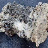 Acanthite, Silver, Arsenic
4,5 x 3 cm
(Autor: Volkmar Stingl)