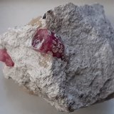 Beryl (variety red beryl)
2,5 x 2 cm
(Autor: Volkmar Stingl)
