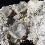 Fluorite
FoV 2,5 x 2 cm
(Autor: Volkmar Stingl)