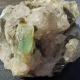 Beryl (variety aquamarine)
6 x 4 cm
(Autor: Volkmar Stingl)
