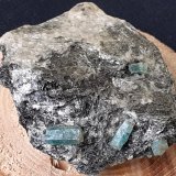 Beryl (variety Emerald)
3 x 2,5 cm
(Autor: Volkmar Stingl)