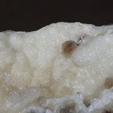 Calcite, Quartz
FoV 7 x 5 cm
(Autor: Volkmar Stingl)