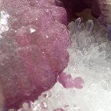 Fluorite, Quartz
7,5 x 7 cm
(Autor: Volkmar Stingl)