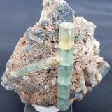 Beryl (variety Aquamarine)
7 x 7 cm
(Autor: Volkmar Stingl)