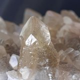 Calcite
13,5 x 11
(Autor: Volkmar Stingl)
