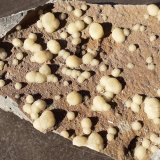 Calcite
9 x 7 cm
(Autor: Volkmar Stingl)
