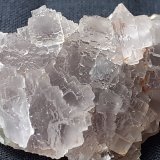 Fluorite
4 x 2 cm
(Autor: Volkmar Stingl)