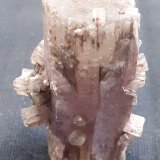 Aragonite
4,3 x 2 cm
(Autor: Volkmar Stingl)