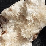 Aragonite
8,5 x 5 cm
(Autor: Volkmar Stingl)