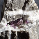 Fluorite, Calcite
7 x 5 cm
(Autor: Volkmar Stingl)