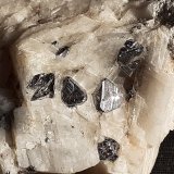 Carrollite, Calcite
6 x 4 cm
(Autor: Volkmar Stingl)