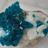 Dioptase, Quartz
2,5 x 1,5 cm
(Autor: Volkmar Stingl)