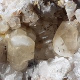 Calcite
11 x 8 cm
(Autor: Volkmar Stingl)