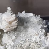 3,5 x 2,5 cm
(Autor: Volkmar Stingl)