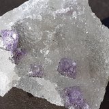 Fluorite, Quartz, Pyrite
3 x 2,5 cm
(Autor: Volkmar Stingl)